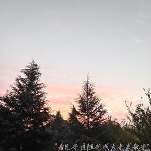 欧美激情密臀日本人妻爱爱
